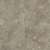 Daltile Caspian Shellstone 18 in. x 18 in. Natural Stone Floor and Wall Tile (13.5 sq. ft. / case)