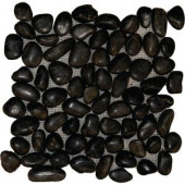 MS International Black Polished Pebbles 12 in. x 12 in. Quartzite Floor and Wall Tile (10 sq. ft. / case)