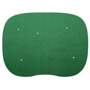 StarPro Greens 15 ft. x 20 ft. 5-hole Indoor/Outdoor Nylon Practice Putting Green