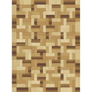 Natco Shadows Chameleon Brown 5 ft. 3 in. x 7 ft. 7 in. Area Rug