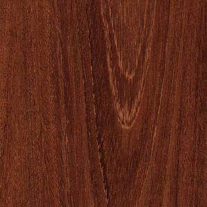 TrafficMASTER Raintree Acacia 12 mm Thick x 4-31/32 in. Wide x 50-25/32 in. Length Laminate Flooring (14 sq. ft. /case)