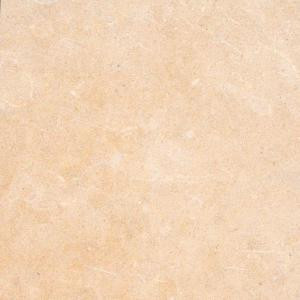 MS International 16 in. x 16 in. Princess Gold Limestone Floor and Wall Tile