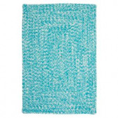 Colonial Mills Catalina Aquatic 4 ft. x 6 ft. Braided Accent Rug
