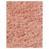 Kas Rugs Cushy Shag Pink 2 ft. 3 in. x 3 ft. 9 in. Area Rug