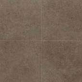 Daltile City View Neighborhood Park 24 in. x 24 in. Porcelain Floor and Wall Tile (11.62 sq. ft. / case)