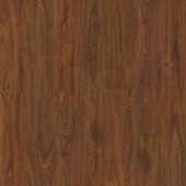 Shaw Native Collection II Cherry Plank Laminate Flooring - 5 in. x 7 in. Take Home Sample