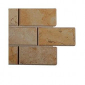 Splashback Tile Jer Gold Bev Natural Stone Floor and Wall Tile - 6 in. x 6 in. Tile Sample