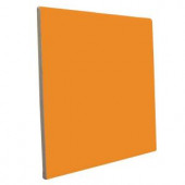 U.S. Ceramic Tile Color Collection Bright Tangerine 6 in. x 6 in. Ceramic Surface Bullnose Wall Tile