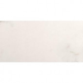Emser Paladino Albanella Matte 12 in. x 24 in. Porcelain Floor and Wall Tile (15.50 sq. ft. / case)