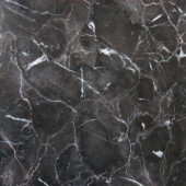 MS International Laurent Brown 18 in. x 18 in. Polished Marble Floor and Wall Tile (11.25 sq. ft. / case)
