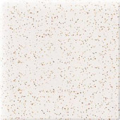 Daltile Semi-Gloss Golden Granite 4-1/4 in. x 4-1/4 in. Ceramic Bullnose Corner Wall Tile