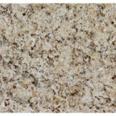 MS International 12 in. x 12 in. St. Helena Gold Granite Floor and Wall Tile