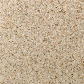 Daltile Golden Garnet 12 in. x 12 in. Natural Stone Floor and Wall Tile (10 sq. ft. / case)