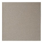 Daltile Quarry Tile Arid Flash 6 in. x 6 in. Abrasive Ceramic Floor and Wall Tile (11 sq. ft. / case)